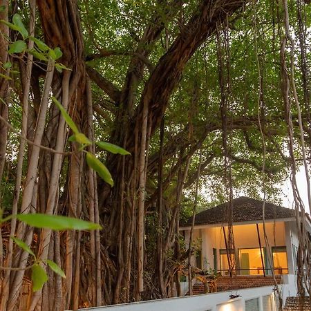 White Banyan Beach Villa, Candolim By The Acacia Villas Esterno foto