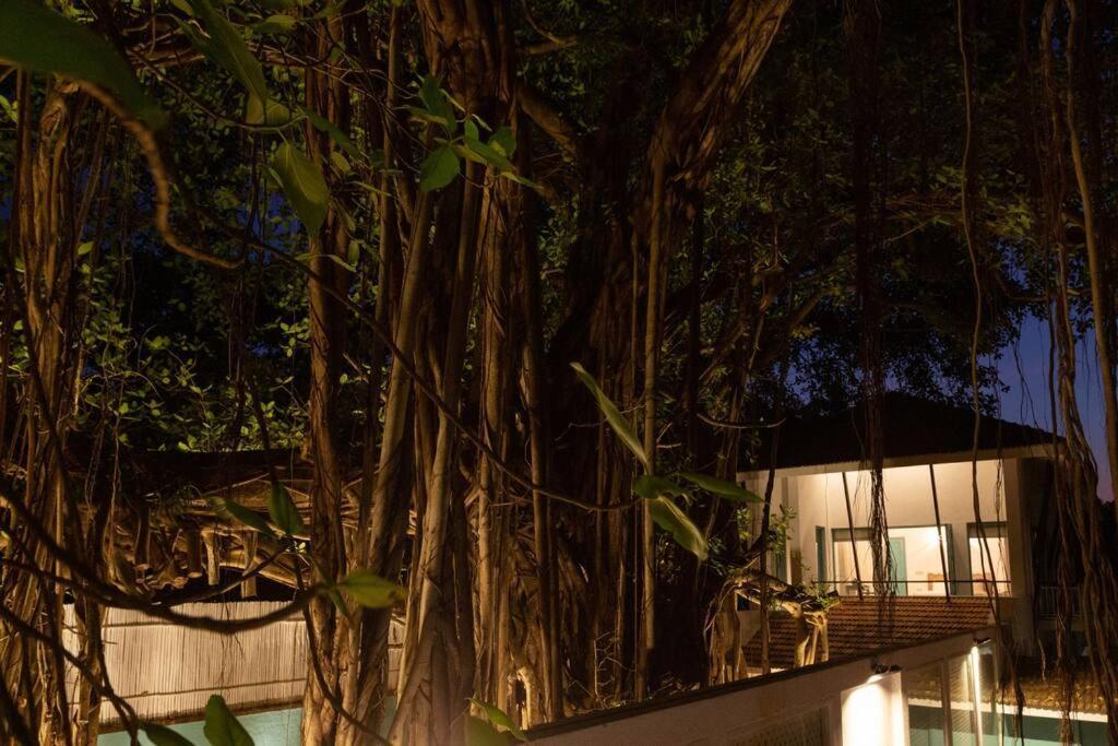 White Banyan Beach Villa, Candolim By The Acacia Villas Esterno foto