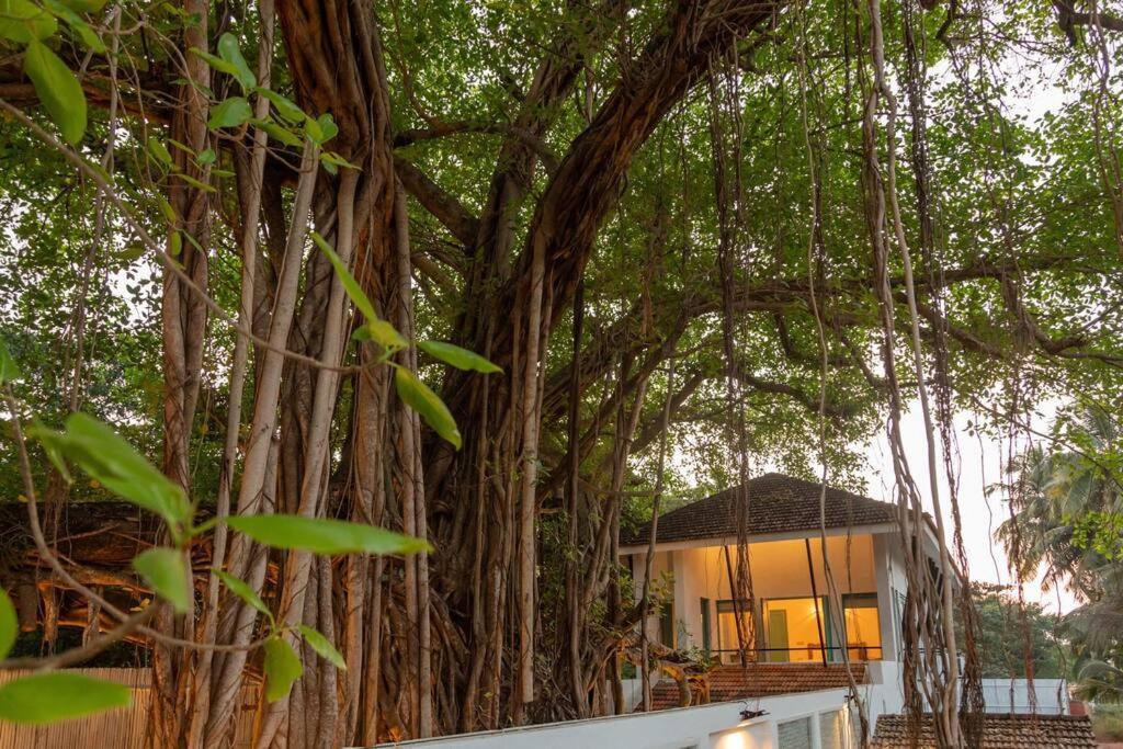 White Banyan Beach Villa, Candolim By The Acacia Villas Esterno foto